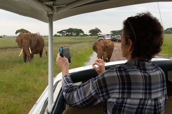 6 days guided safari: nairobi / lake nakuru / lake naivasha / masai mara n r - Price and value: what $1,896.97 covers and how to judge it