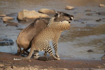 6 Days Kenya Adventure Wildlife Safari