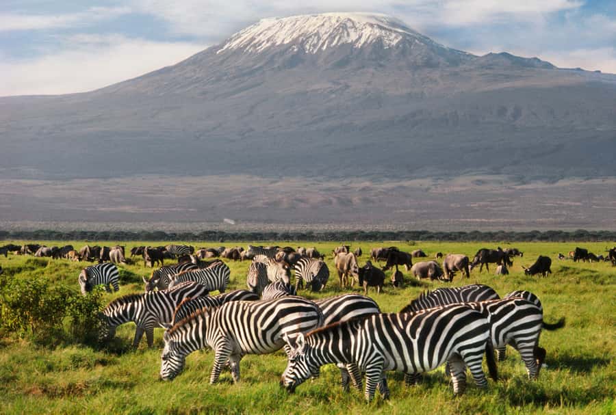 6 Days Kenya Budget Safari - Day 3: Masai Mara to Nakuru, Optional Maasai Village Stop