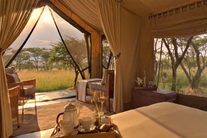 6 Days Maasai Mara/Nakuru/Amboseli Group Safari - Lake Nakuru mornings: flamingos, birds, white rhinos, and waterbuck