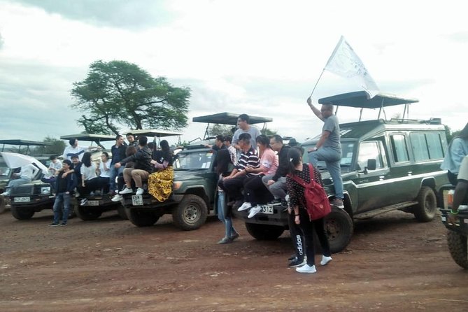 6 Days Maasai Mara/Nakuru/Amboseli Group Safari - Your last morning drive in Amboseli, then back to Nairobi