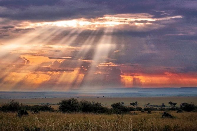 6 Days Maasai Mara/Nakuru/Amboseli Group Safari - Day 3 road journey to Lake Nakuru: early drive, Naivasha views, and a budget hotel night