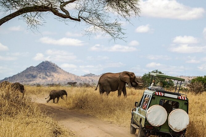 6 Days Masai Mara, Lake Nakuru and Amboseli Budget Group Safari - Price and logistics: where the money goes, and what to watch