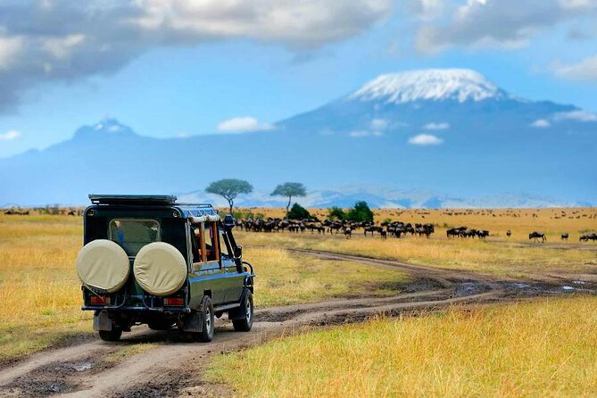 6 Days Masai Mara, Lake Nakuru and Amboseli Budget Group Safari - Day 2 Masai Mara full day: Big Five time and migration energy