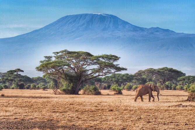 6-Days Masai Mara, Nakuru & Amboseli Group Safari on Landcruiser - Day 1 in Masai Mara: rift valley viewpoints and your first game drive