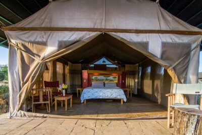 6 Days Masai Mara-Nakuru-Amboseli – Lodge Safari-Private 4X4 JEEP