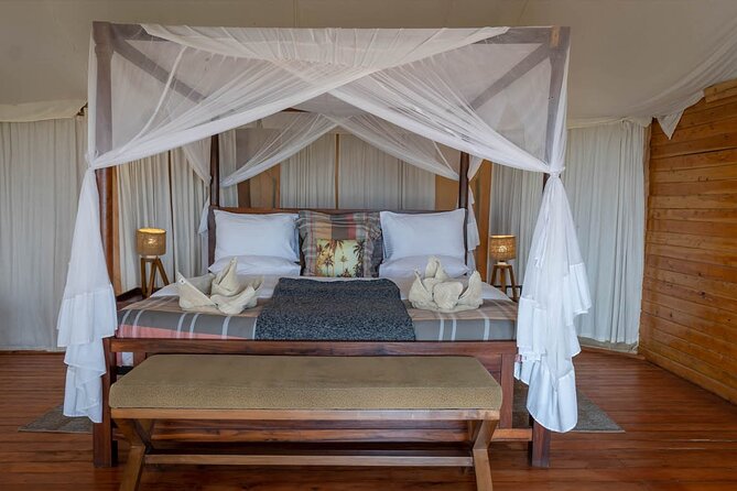 6-Days of Elephants, Wildebeest and Big 5: Kenya’s Classic Safari - Day 5 Masai Mara full-day: long cat-watch hours and lunch in the grass