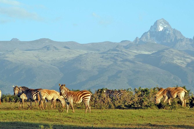 6 Days of Kenyan Wonders: Amboseli, Lake Nakuru, and Masai Mara - Day 3: Lake Nakuru arrives after the long road