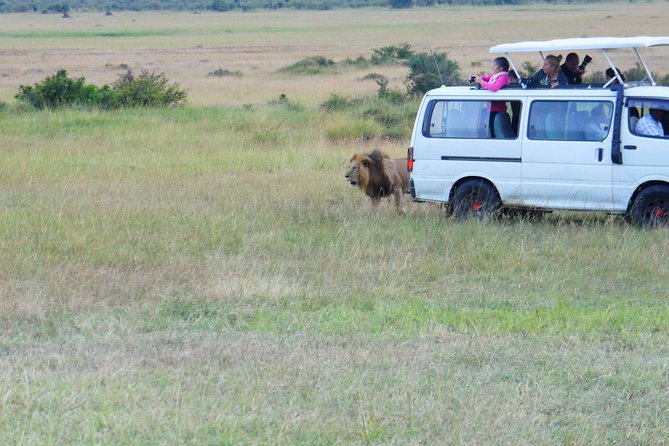 6 Days private safari package Kenya - Nairobi to Amboseli, the part of the trip that sets the tone