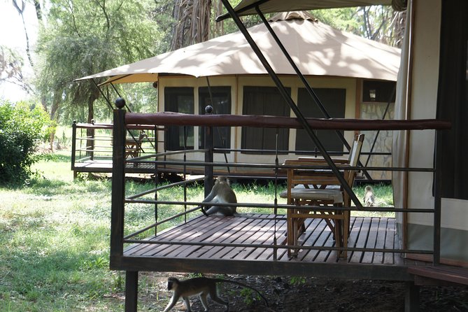6 Days private safari package Kenya - Guides and coordination: why names matter in safari planning