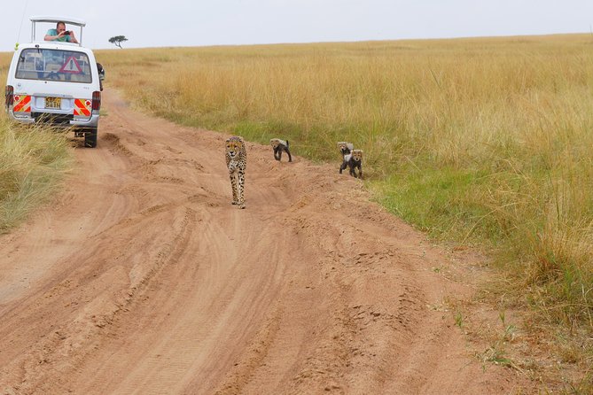6 Days private safari package Kenya - Price and value: what $4,916.54 per person is really buying