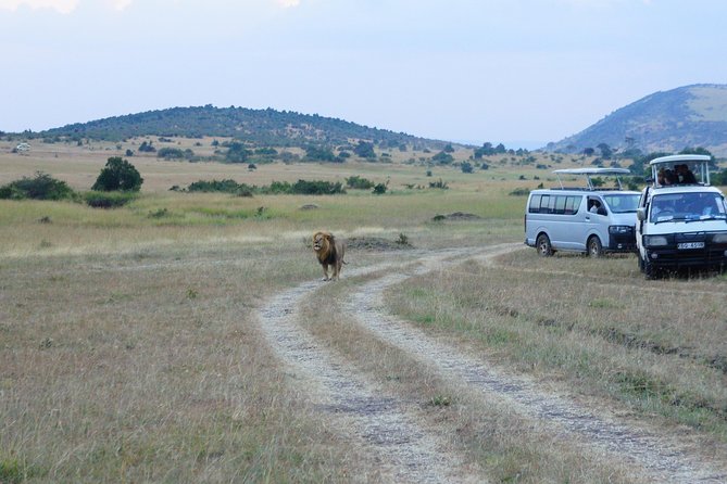 6 Days private safari package Kenya - Amboseli days: what time on the ground gives you