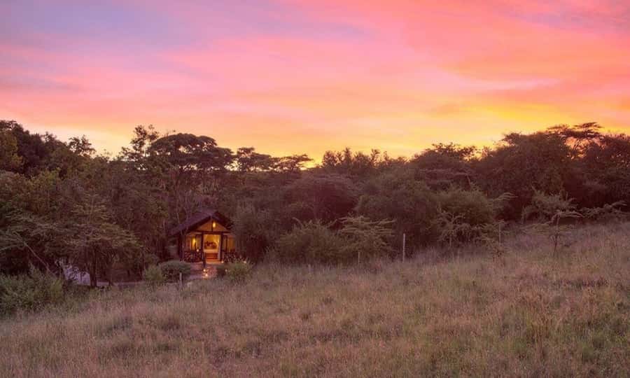 6 Days Small Group Safari To Masai Mara, Nakuru And Amboseli - The best reason to choose this Kenya loop: Mara migration, Nakuru birdlife, and Amboseli elephants