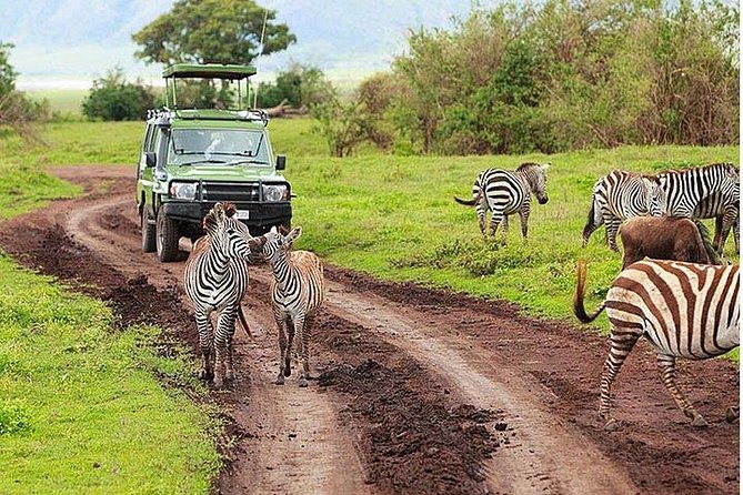 6Days Amboseli, Lake Nakuru and Masai Mara Camping Safari on Jeep - Camping style: self-contained tents, guest house night, water, and meal rhythm