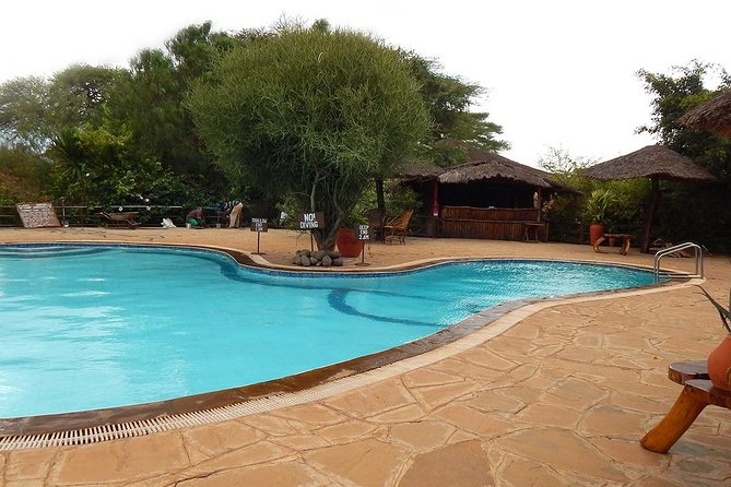 6Days Amboseli, Lake Nakuru and Masai Mara Camping Safari on Jeep - Getting to Amboseli: Day 1 lunch, then elephants until late afternoon