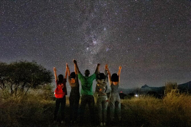 6days Masai mara-lake nakuru via Lake naivasha-Amboseli 4x4 jeep Safari - Day 6 Back to Nairobi: Last Morning Drive and a Clean Finish