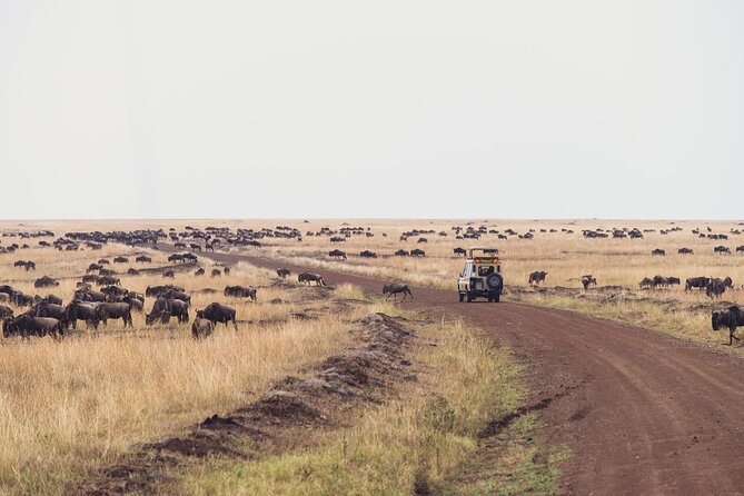 7 Day Private Jeep Safari, 5 star lodges with Balloon Ride Kenya - Amboseli with Mount Kilimanjaro views: two days that let sightings happen