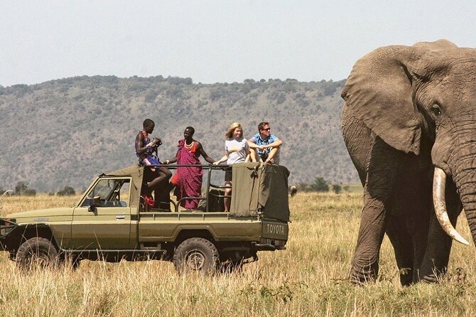 7-Day Private Tour in Kenya National Parks From Nairobi / Mombasa - Amboseli With Kilimanjaro Views, Observation Hill, and Watering-Hole Watching