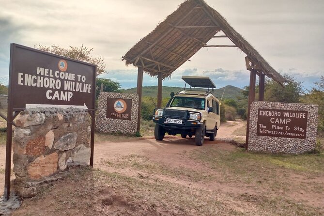 7 Days Amboseli-Lake Naivasha-Lake Nakuru & Masai Mara - Day 6: Full Day Maasai Mara Viewing With Picnic-Style Lunch