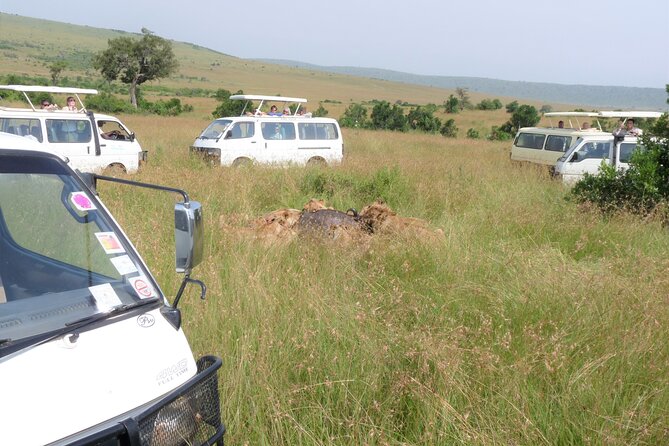 7 Days Amboseli-Lake Naivasha-Lake Nakuru & Masai Mara - Day 1: Amboseli National Park From Nairobi, and Why Elephants Steal the Show