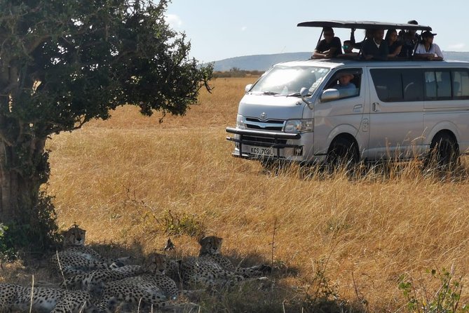 7 Days Amboseli, Naivasha, Maasai Mara and Lake Nakuru game parks - The drive back to Nairobi: Cambrian Building, then wrap-up drop-off
