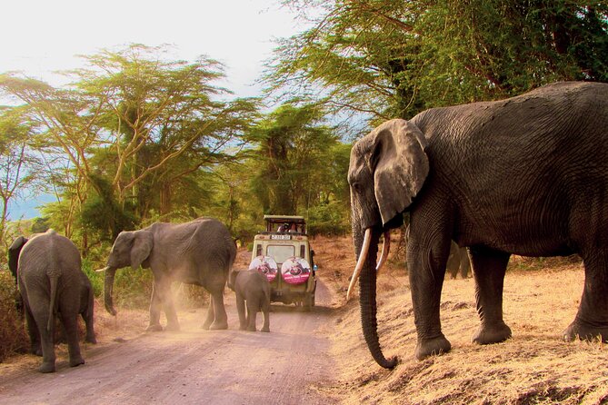 7 Days Best of Kenya Wildlife Safari - Lake Nakuru in late afternoon, shifting from mammals to birds