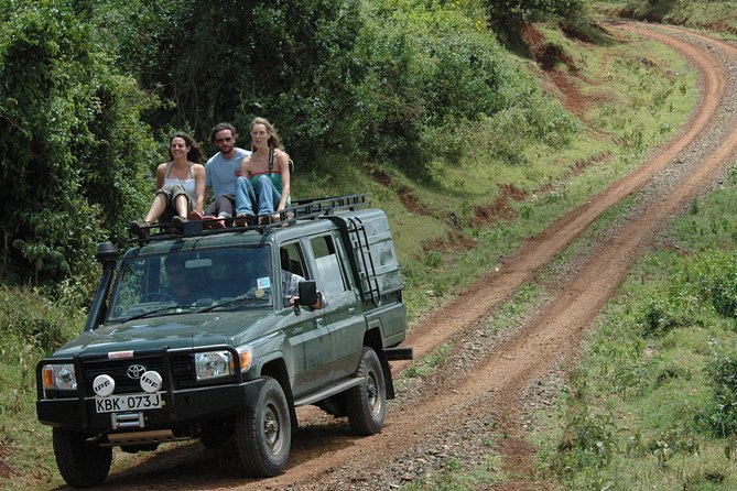 7 Days Breathtaking Kenya Wildlife Private Safari - Day 1 in Amboseli: Lunch Arrival, Pool Time, Then Evening Game Drive