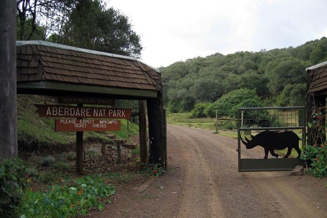 7 Days Breathtaking Kenya Wildlife Private Safari - Day 3 in Aberdare: Mountain Rift Views, Lunch at Aberdare Country Club, Then The Ark Lodge