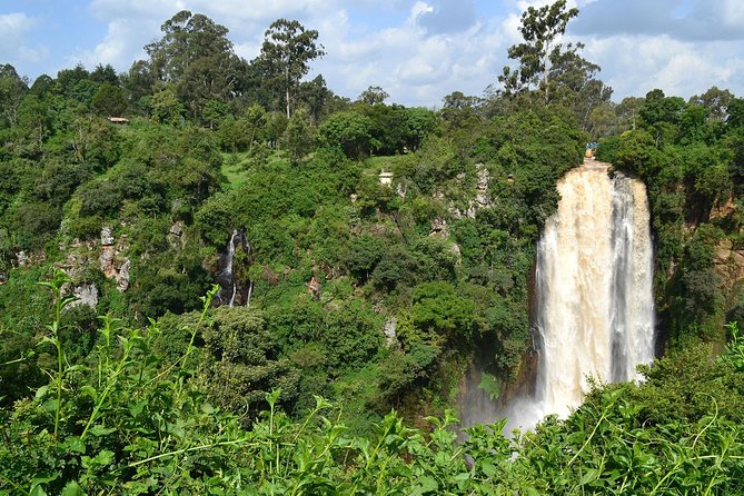 7 Days Breathtaking Kenya Wildlife Private Safari - Day 7 Nairobi Finish: Early Drive, Breakfast, and Back to the City