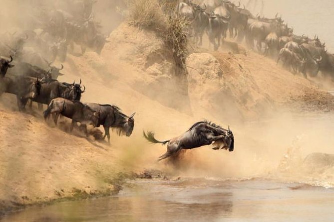 7 days Group Safari Masai Mara Lake Nakuru Hells gate & Amboseli - Lake Naivasha private day: rare white rhinos plus a boat ride for hippos and birds