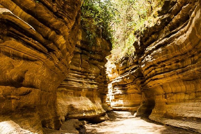 7 days Group Safari Masai Mara Lake Nakuru Hells gate & Amboseli - Amboseli meets Hells Gate: biking, a gorge walk, Kilimanjaro views, and elephant watching