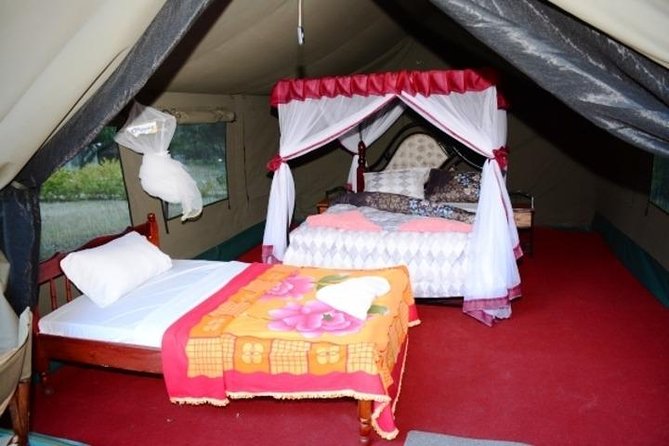 7 days Group Safari Masai Mara Lake Nakuru Hells gate & Amboseli - What you get for the money: value, inclusions, and likely extras
