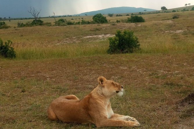 7 Days maasai mara - lake nakuru - lake naivasha- amboseli safari. - Hell’s Gate Nature Walk and Possible Biking on the Way to Amboseli