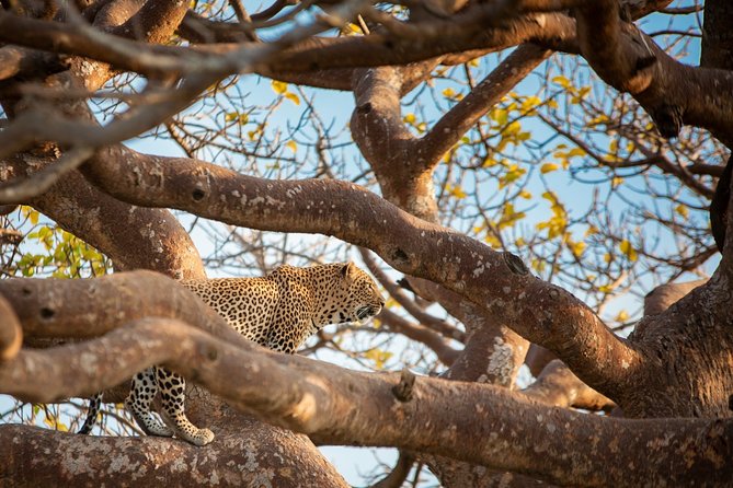 7 Days Maasai Mara, Lakes Nakuru, Naivasha & Amboseli Group Tour - Day 4 Lake Nakuru: Flamingos, White Rhino Sanctuary, and Naivasha Choices