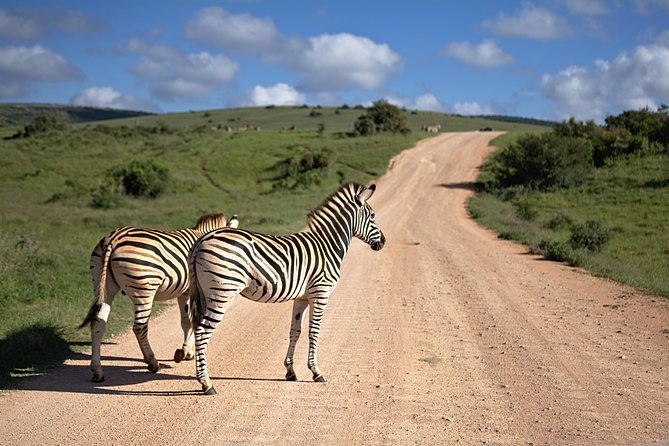 7 Days Mara/L.Naivasha/L.Nakuru/Amboseli - Getting Started in Nairobi and Heading Into Rift Valley Country