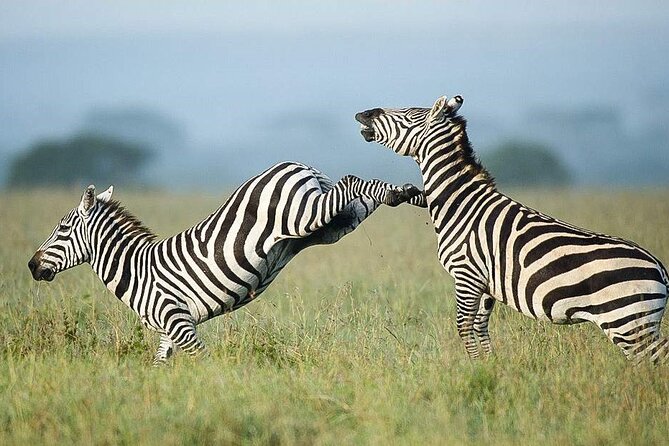 7 Days of Elephants, Rhinos & Big Five: The Best of Kenya Safari - Lake Naivasha with hippos and birds, plus a boat ride break