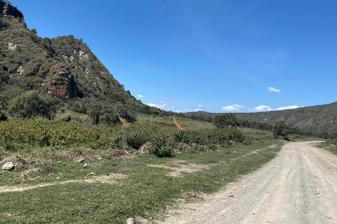 7 Days Private 4 star lodges Safari by LandCruiser from Nairobi - Day 6 in Amboseli: Observation Hill, packed lunch, and a long day of scanning