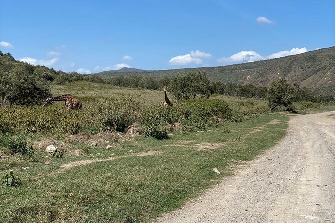 7 Days Private safari to 4 Star lodges using a Jeep - Day 6: Full Day in Amboseli for More Chances at Predators and Plains Animals