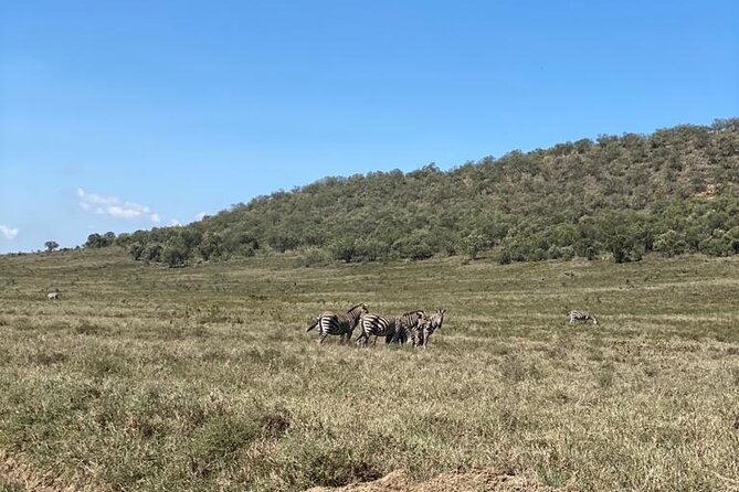 7 Days Private safari to 4 Star lodges using a Jeep - Day 7: Short Final Drive, Off Amboseli, Back to Nairobi