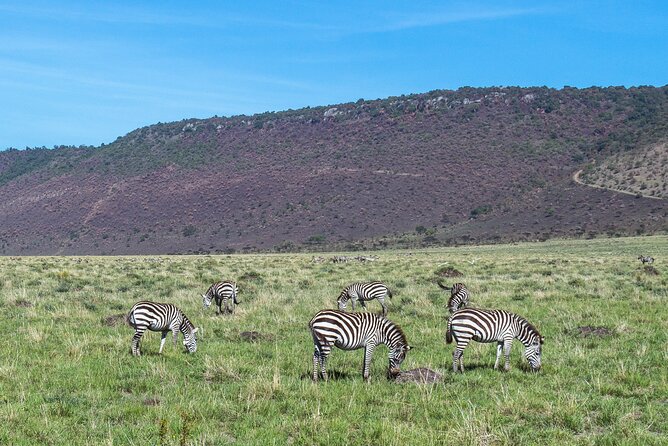 7 Days Safari to Maasai Mara, Nakuru, Naivasha and Amboseli - Lake Naivasha Day 4: Hell’s Gate biking, birds from the lake, and optional costs