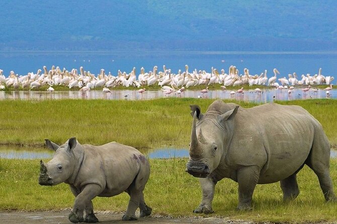 7 Days Safari to Maasai Mara, Nakuru, Naivasha and Amboseli - Lodging and meals: what comfort looks like on this route
