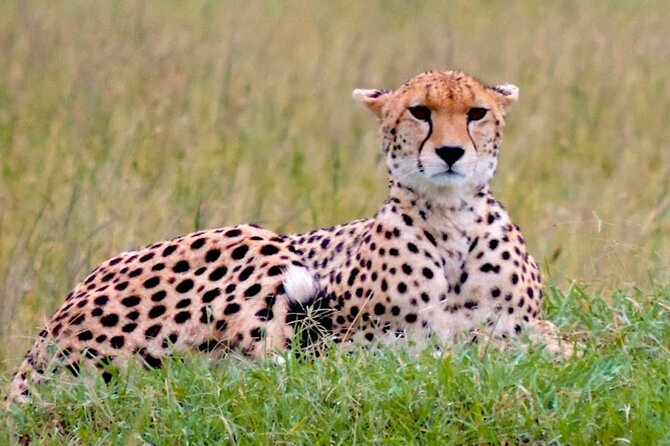 8 Day Bush and Beach Private Holiday Safari - Key highlights to know before you go