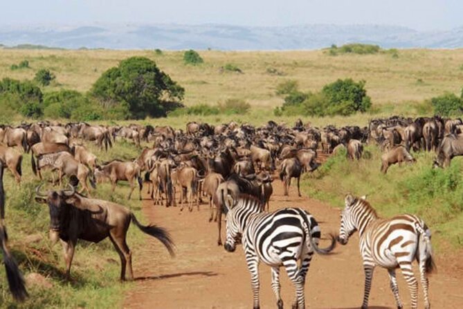 8 Day Bush and Beach Private Holiday Safari - Lake Naivasha and Hell’s Gate, a birding-and-wildlife warm-up
