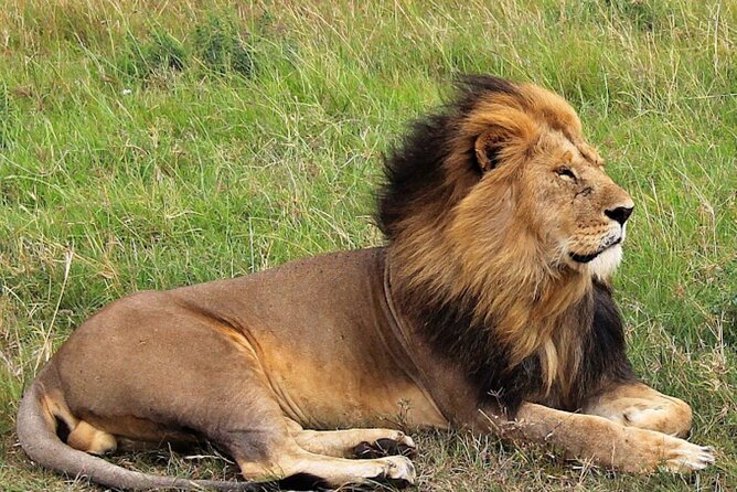 8 Day Bush and Beach Private Holiday Safari - Lake Nakuru National Park, flamingos and rhinos in one stop