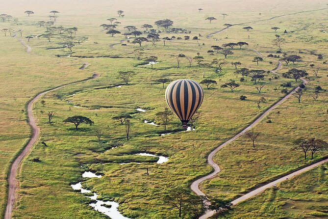 8-Day Kenya Group Joining Safari - Lake Nakuru: rhino sanctuary, Baboon Cliff views, and a bird-heavy day