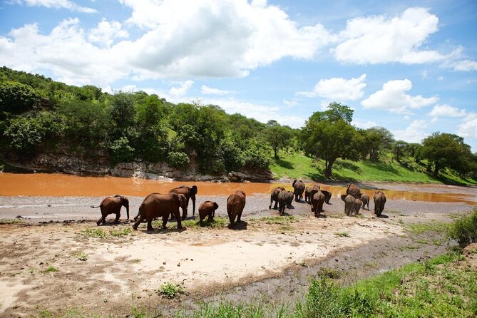 8 Day Safari: Best of Kenya & Tanzania - Key things that make this safari work