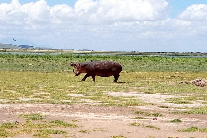 8 Day Safari: Best of Kenya & Tanzania - Ngorongoro Crater, the single full day that turns the volume up