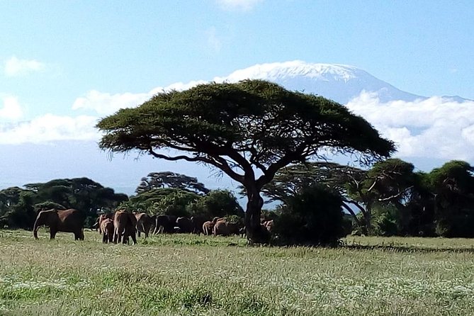 8 Day Safari: Best of Kenya & Tanzania - Lodges and camps: where your day’s effort turns into rest