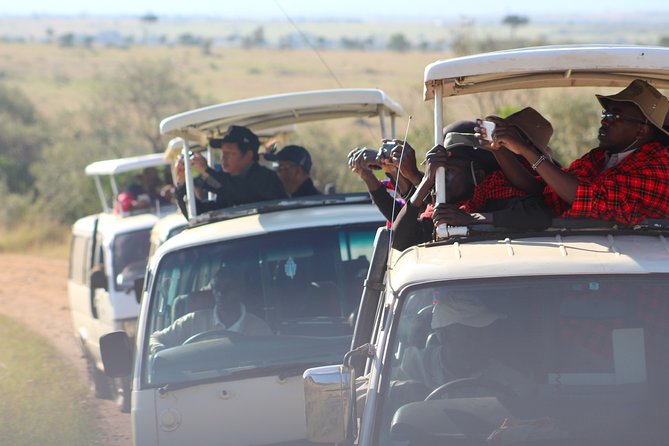 8 Days Best of Kenya and Tanzania Safari from Nairobi - Key Highlights You’ll Actually Feel on Safari