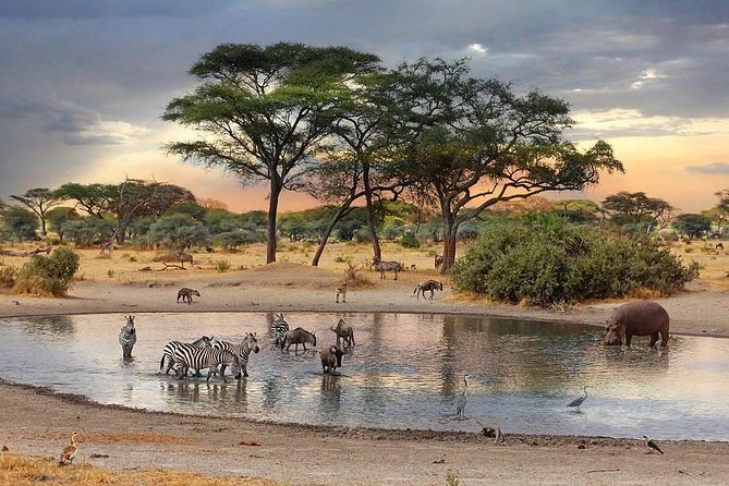 8 Days Best of Kenya and Tanzania Safari from Nairobi - Starting in Nairobi: Rift Valley Viewpoint and a Smooth Kickoff